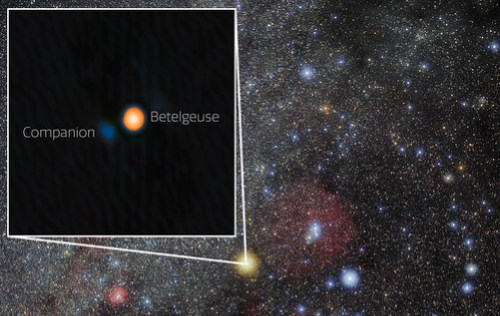 Betelgeuse companion star